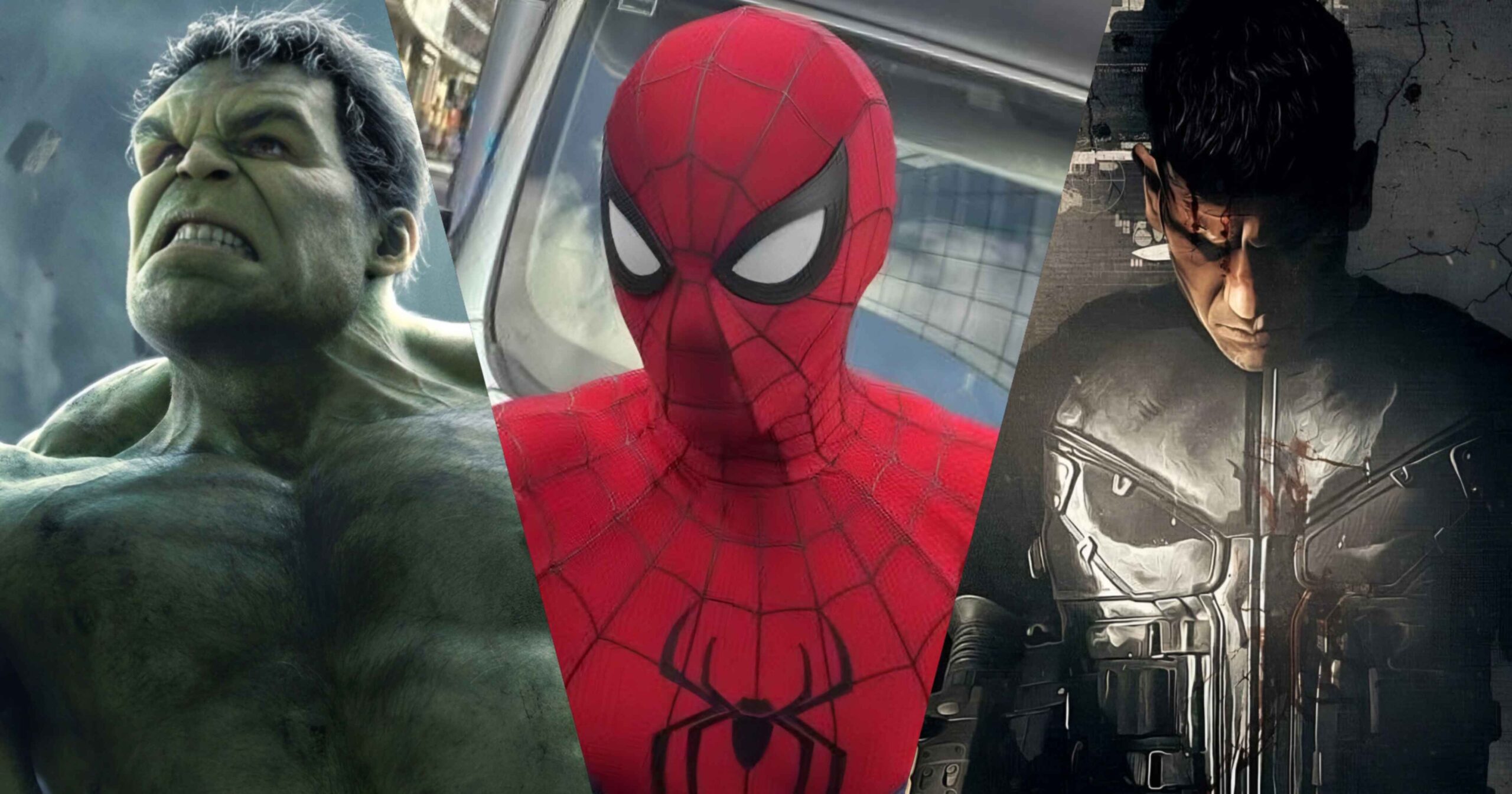 Spider-Man 4 & Punisher