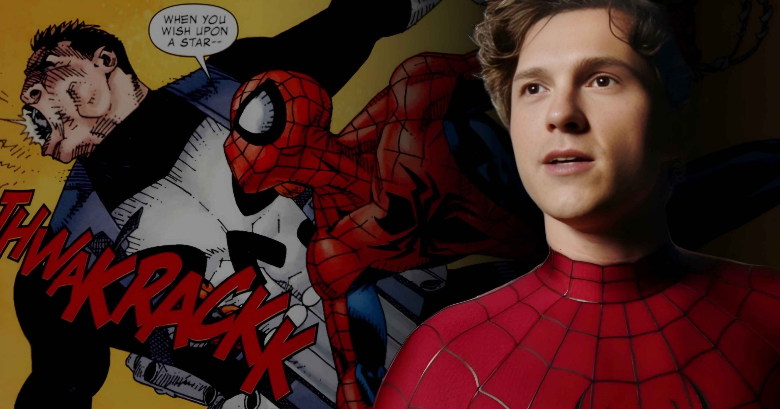 Spider-Man vs. Punisher